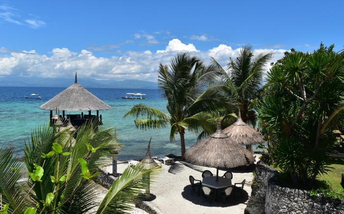 Dolphin House Resort Spa Diving