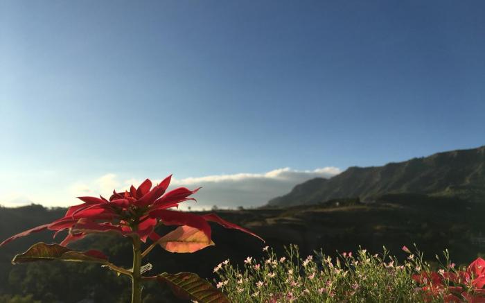 Kiri Pura Resort