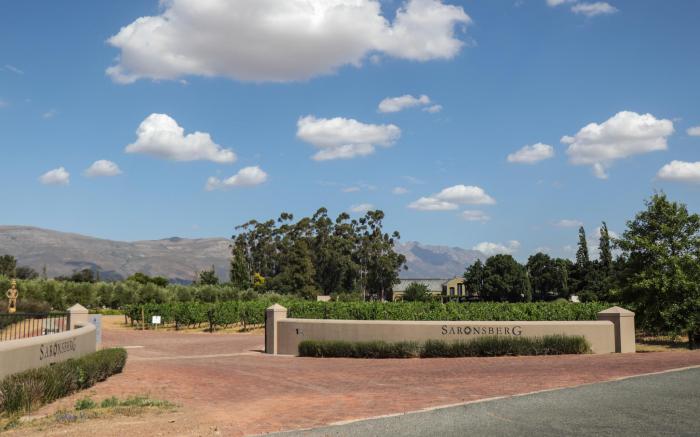 Saronsberg Vineyard Cottages