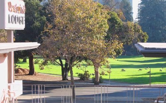 Westwind Lodge