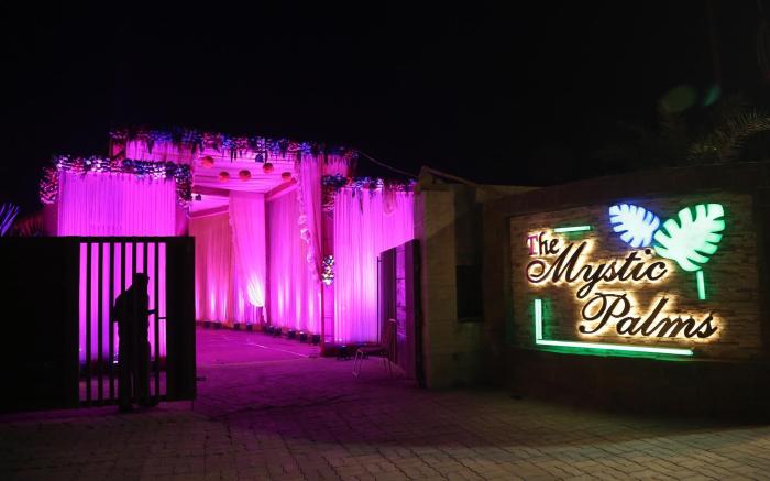 The Mystic Palms