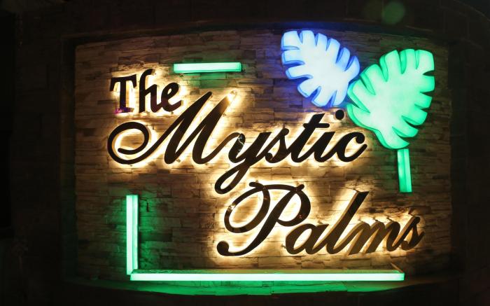 The Mystic Palms