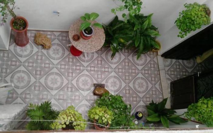 Apartamentos Las Palmeras