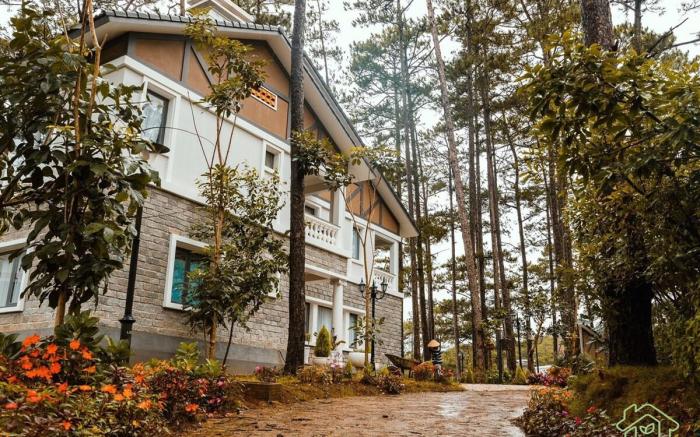 Vintage Villa (4br) surrounded by pine trees