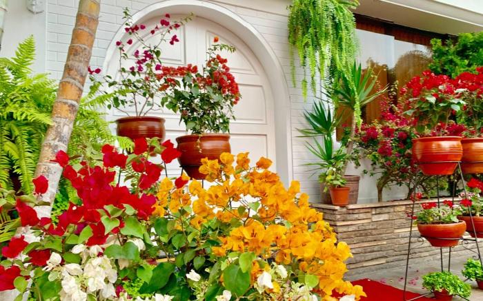 Casa Bella Boutique Hotel San Isidro