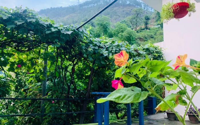 La Riviere Waterfront A Traditional Stay