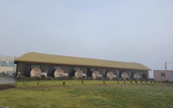 Seogwipo Horang Horang Pension