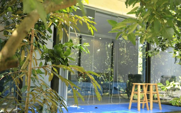 Homestay Tropical Fruit Garden Vo Uu Garden