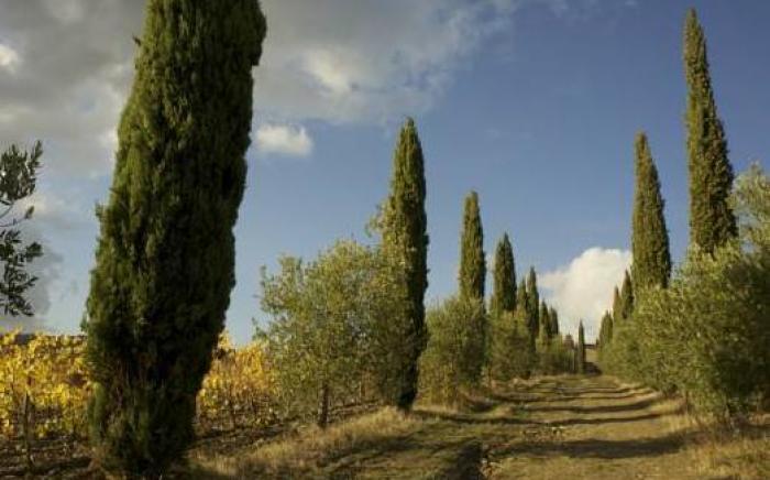 Castello di Volpaia