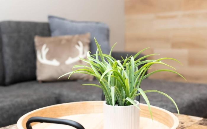 Country Inn & Suites by Radisson, Prairie du Chien