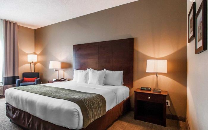 Comfort Inn US Hwy 80