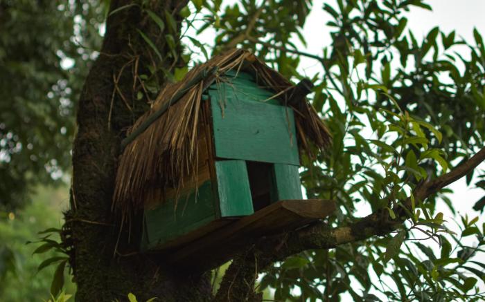 La Das Treetops