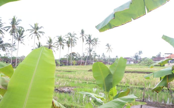 Takas Ubud Villa