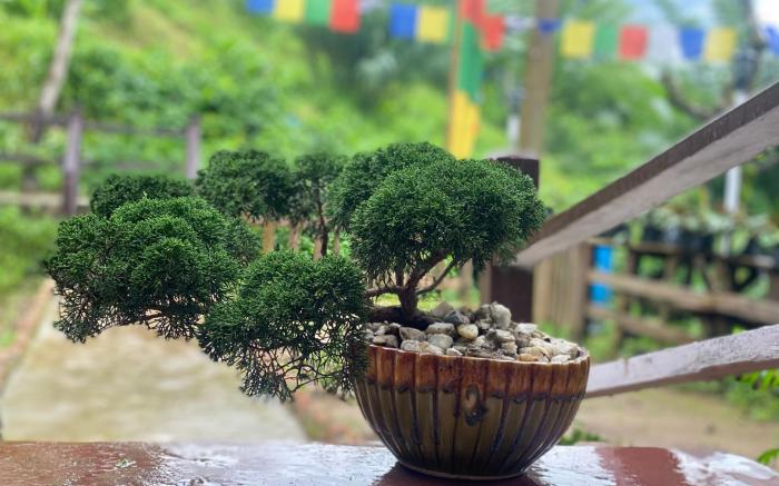 Ghalay’s country side farm stay