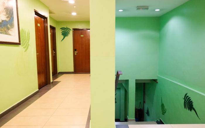 The Fern Lodge (Sanitized Stay)