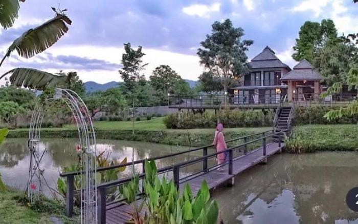 PAI WOODLAND
