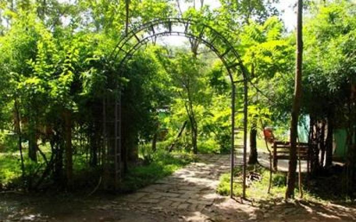 Deep Jungle Home
