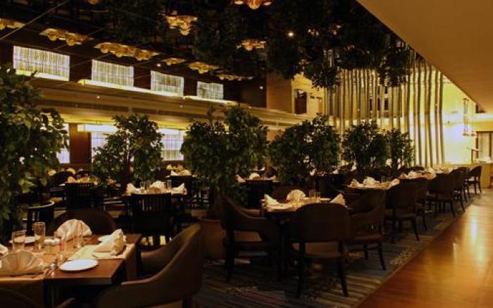Minerva Grand Hotel - Kondapur