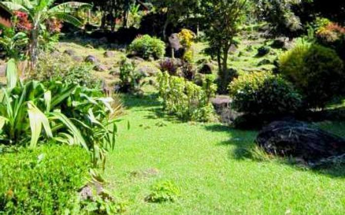 Phanom Bencha Mountain Resort