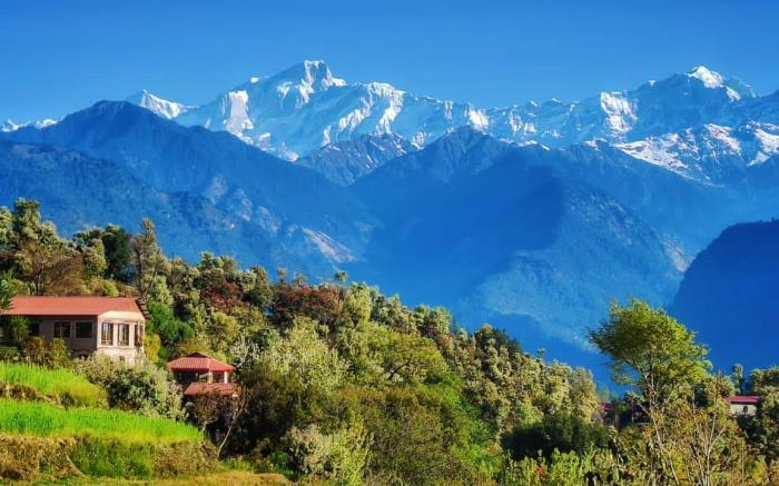 Kedar camp resort