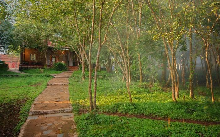 The Windflower Jungle Resorts & Spa Bandipur