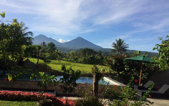 The Champuhan Villa - Honeymoon Villa With Rice Field View