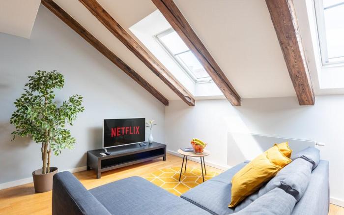 Duplex apartment on Soukenicka