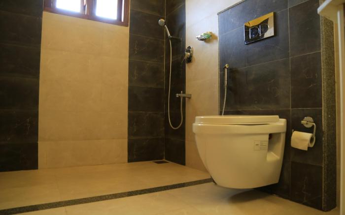 Luxury cottages with beautiful mountain view