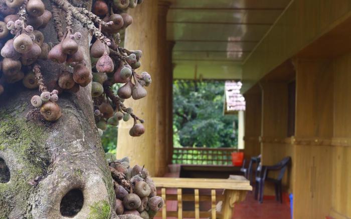 ASHRAMAM HEALTH RESORTS