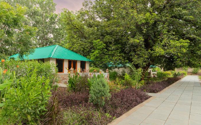 Zana Forest Resort Ranthambore