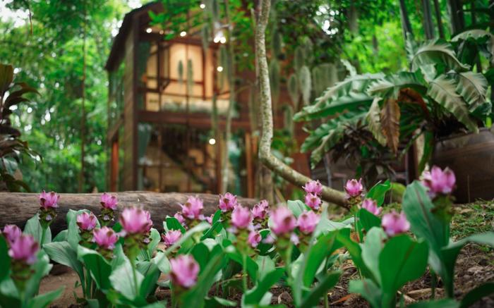 MayamYay Privacy Homestay  @Mea Mea Chiang Dao