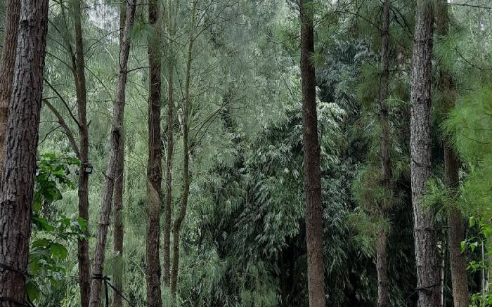 Bromo Dormitory and Camp