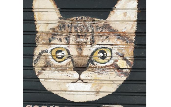 Cocoa Mews Cafe & Home