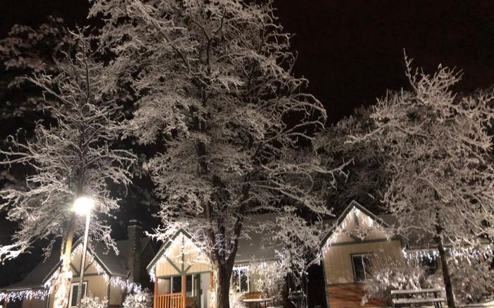 Bear Creek Resort 