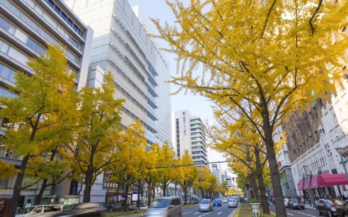 VIA INN SHINSAIBASHI - JR WEST GROUP