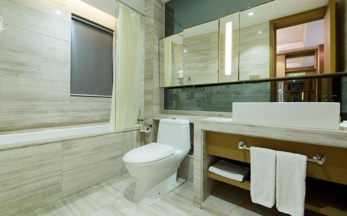Savills Residence Daxin Shenzhen Bay