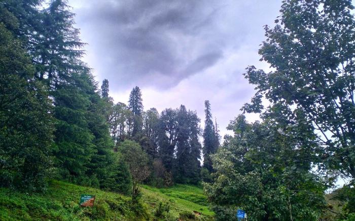 Chopta green view Resort 