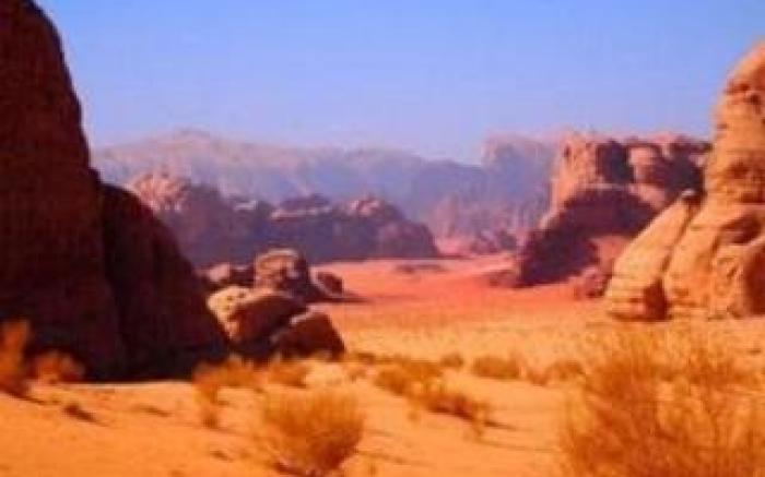 Bedouin Expedition                                                                              