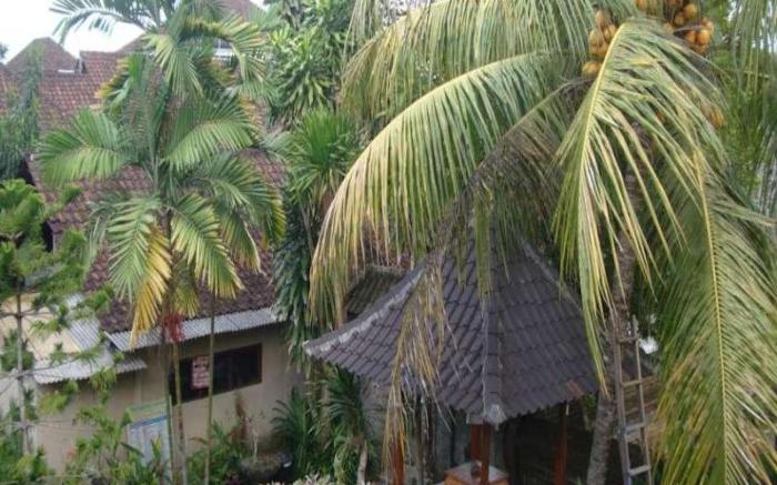 Gusti Homestay