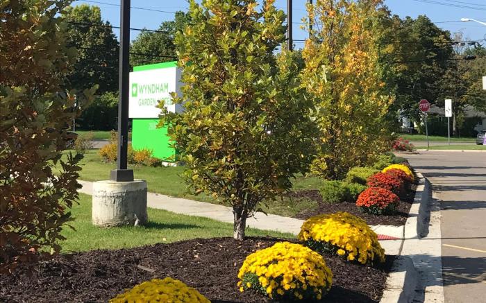 Wyndham Garden Ann Arbor