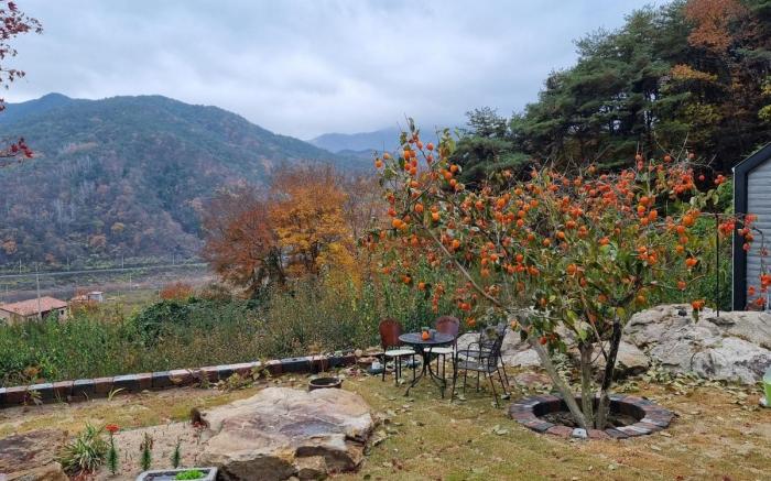 A Jin's Garden