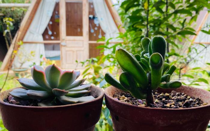 Homestay Nhà của Nếp