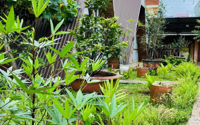Homestay Nhà của Nếp