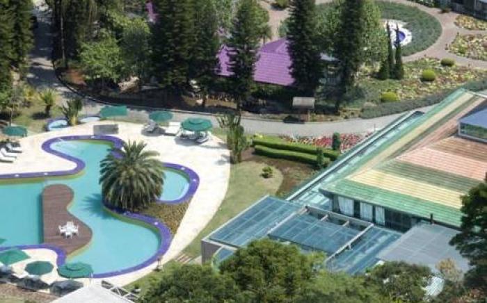 Unique Garden