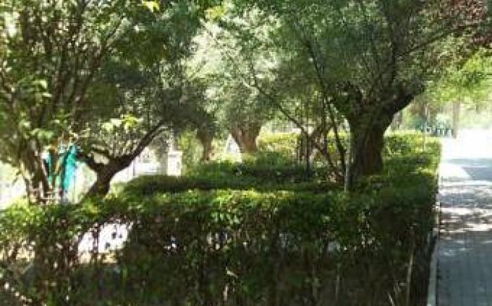 La Fuensanta Hostal-Rural