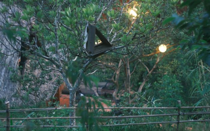 Vườn Nhà Củi Homestay