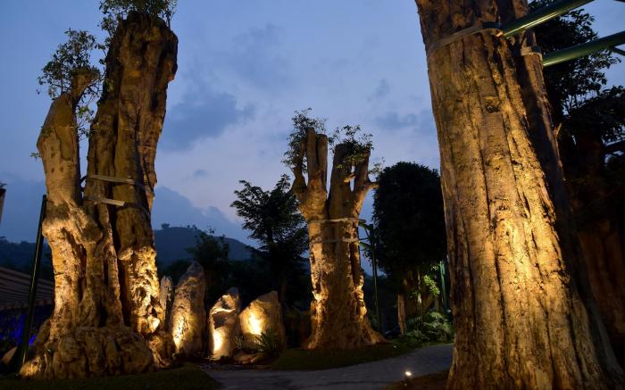 SARGA Earthing Resort
