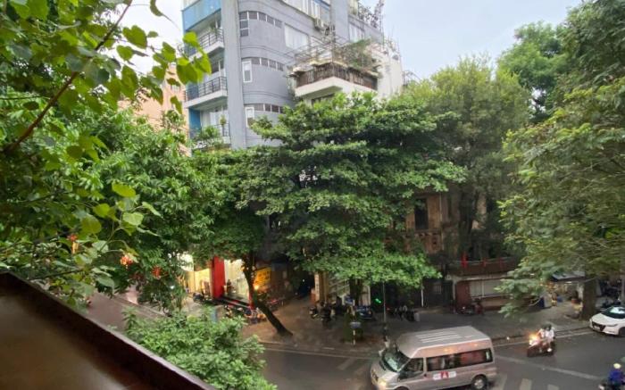 PrivateHouse'sArtist|1BR|KitchenBalcony|OldQuarter