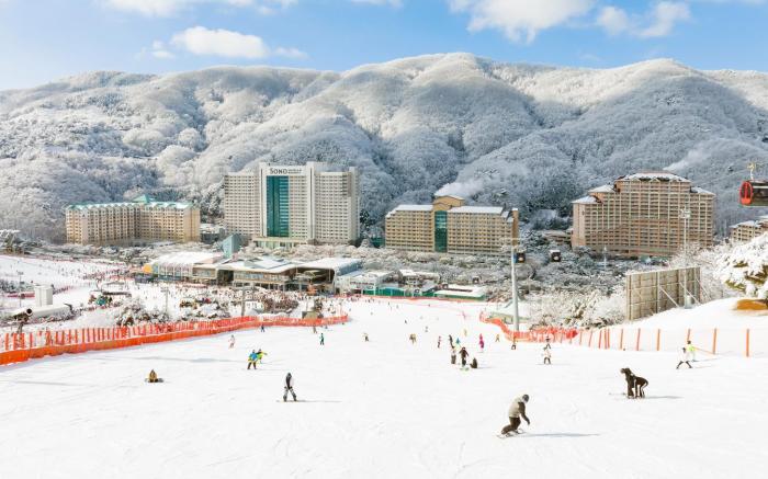 Sono Calm VivaldiPark