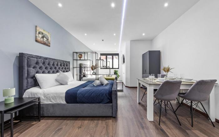 Serviced Studio Flat near Camden Euston Station